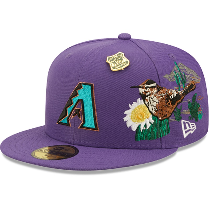 New Era Arizona Diamondbacks State Park 2022 59FIFTY Fitted Hat