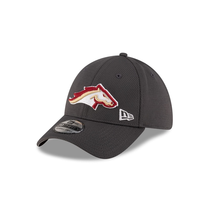 Birmingham Stallions Gray 39THIRTY Stretch Fit Hat