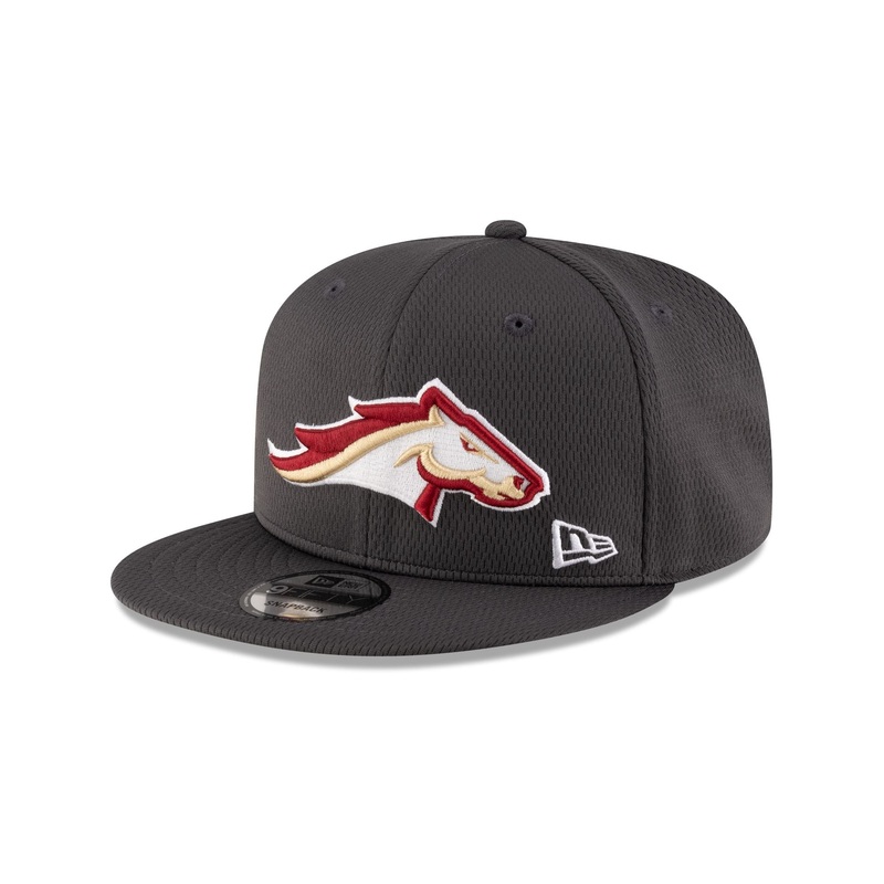 Birmingham Stallions Gray 9FIFTY Snapback Hat